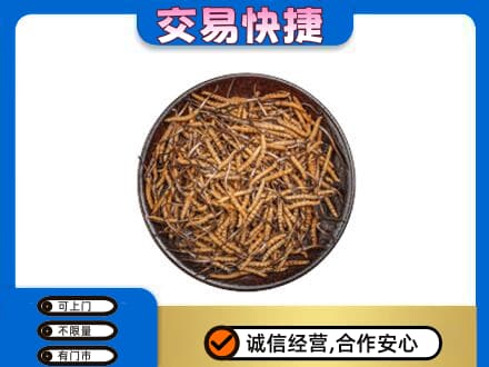 昭通巧家县高价回收散虫草